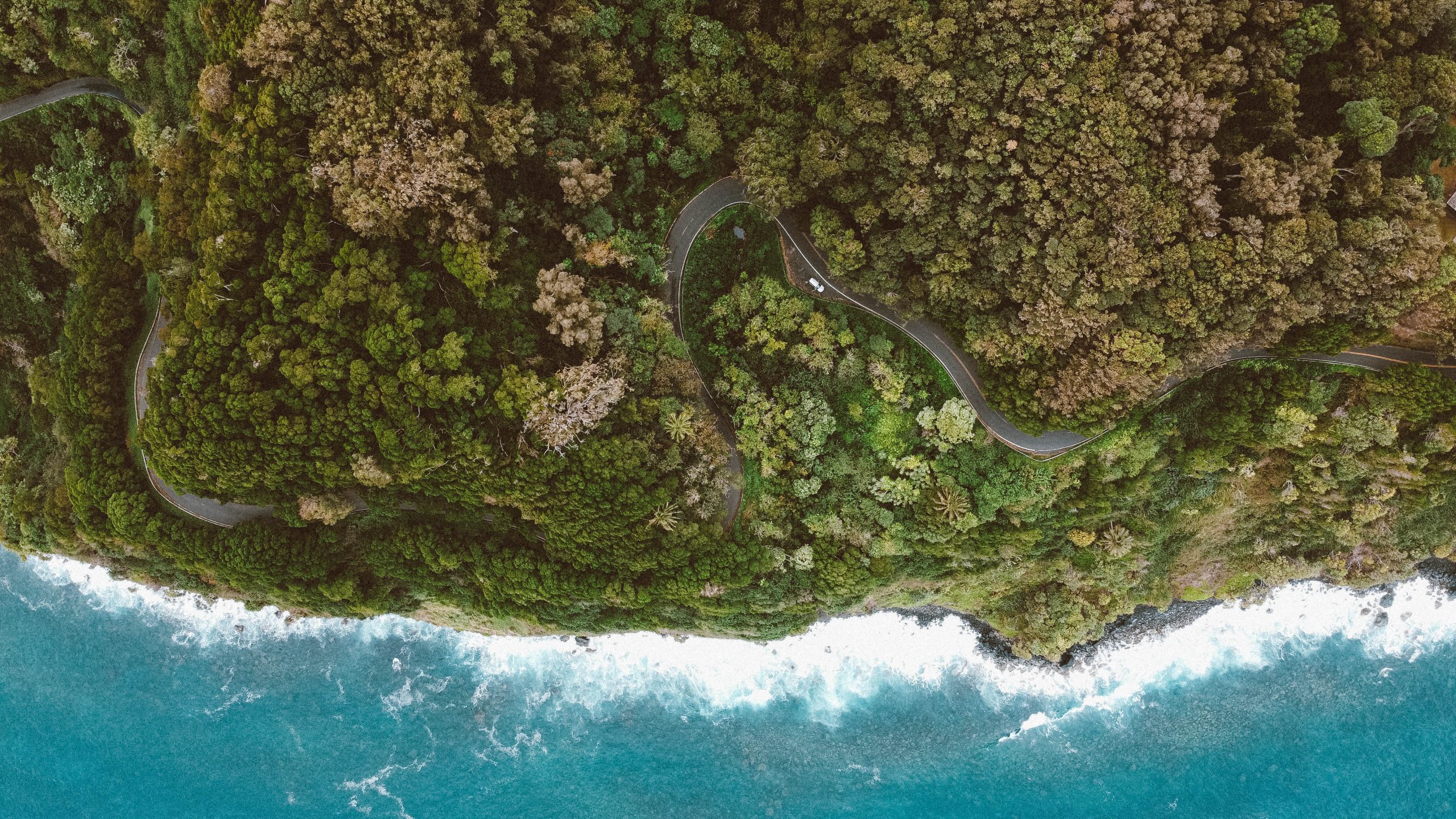 Hawaii: Was ihr vor der Reise wissen solltet